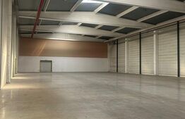 Hală industrială de vânzare – 3.045 mp construiți, facilități complete!