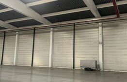 Hală industrială de vânzare – 3.045 mp construiți, facilități complete!