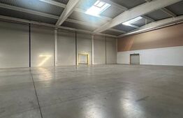 Hală industrială de vânzare – 3.045 mp construiți, facilități complete!