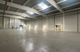 Hală industrială de vânzare – 3.045 mp construiți, facilități complete!