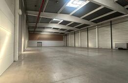 Hală industrială de vânzare – 3.045 mp construiți, facilități complete!