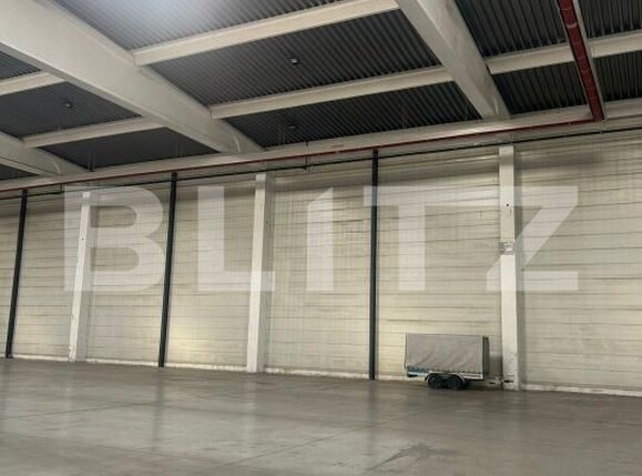 Spațiu industrial de vânzare Giarmata - 171558SVI | BLITZ Timișoara | Poza3