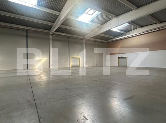 Spațiu industrial de vânzare Giarmata - 171558SVI | BLITZ Timișoara | Poza5