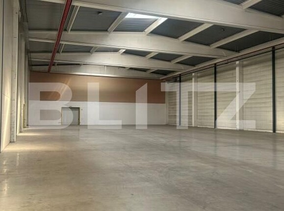 Spațiu industrial de vânzare Giarmata - 171558SVI | BLITZ Timișoara | Poza2
