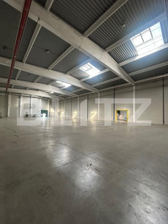 Spațiu industrial de vânzare Giarmata - 171558SVI | BLITZ Timișoara | Poza6