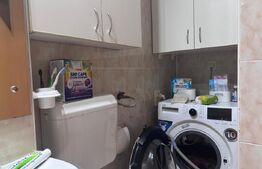  Apartament de vanzare, cu 3 camere, 55 mp, zona Lipovei