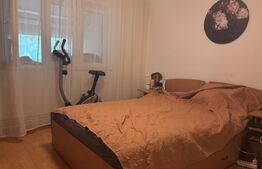  Apartament de vanzare, cu 3 camere, 55 mp, zona Lipovei