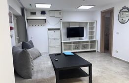 Apartament de vanzare, cu 1 cameră, 47,5 m², lângă Iulius Mall, spatiu SAD