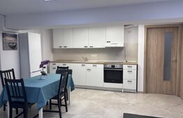Apartament de vanzare, cu 1 cameră, 47,5 m², lângă Iulius Mall, spatiu SAD