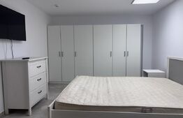 Apartament de vanzare, cu 1 cameră, 47,5 m², lângă Iulius Mall, spatiu SAD