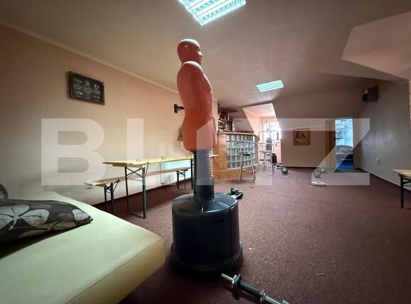 Casa de vânzare 10 camere Iosefin - 171812CV | BLITZ Timișoara | Poza22