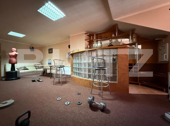 Casa de vânzare 10 camere Iosefin - 171812CV | BLITZ Timișoara | Poza23