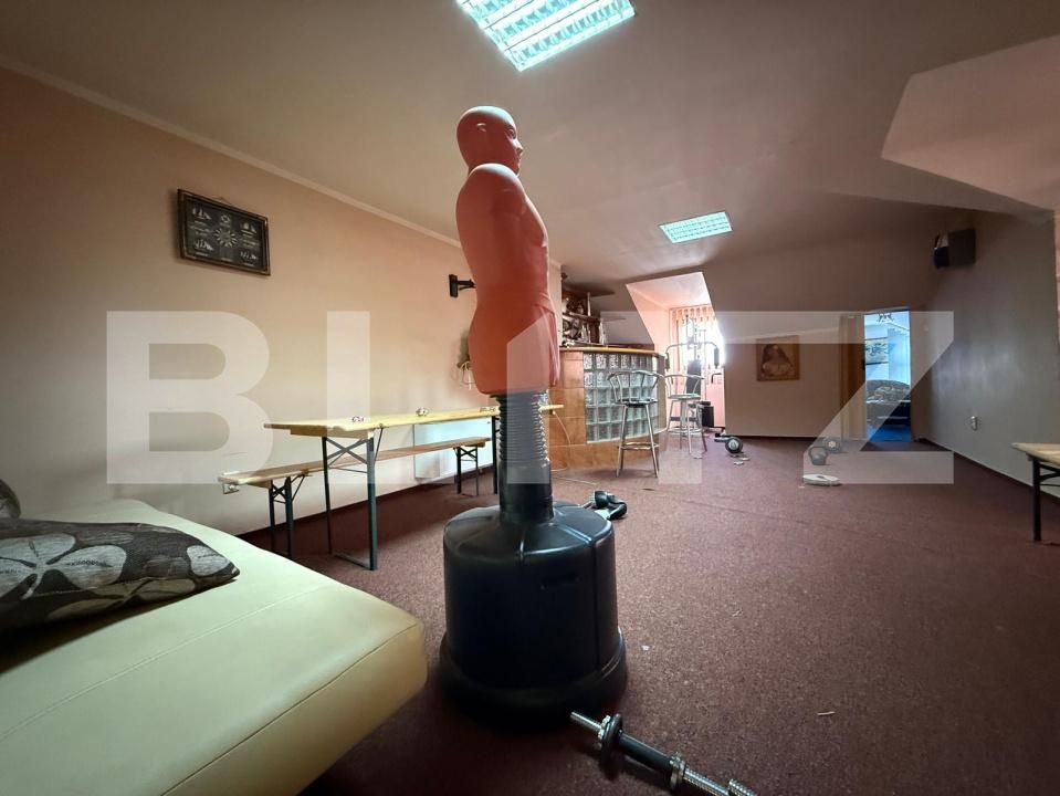Casa de vânzare 10 camere Iosefin - 171812CV | BLITZ Timișoara | Poza25