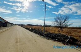 Teren extravilan investitii, 10350 mp, Mosnita Noua-Albina