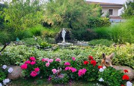 Casa individuala, 5 camere, Su=160mp, St=1070mp, Dumbravita - Casa Bunicii