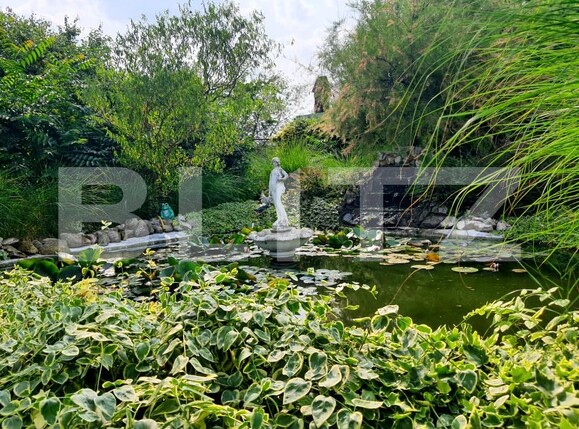 Casa de vânzare 5 camere Dumbravita - 172033CV | BLITZ Timișoara | Poza6