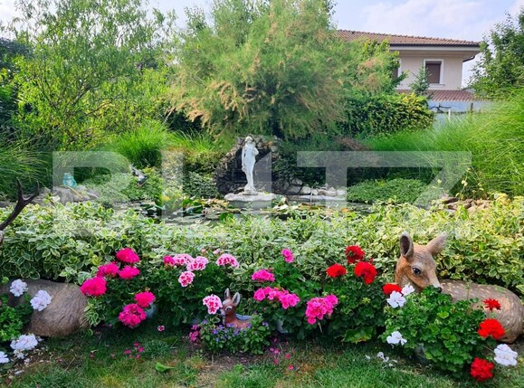 Casa de vânzare 5 camere Dumbravita - 172033CV | BLITZ Timișoara | Poza5