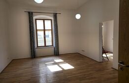 Apartament de vanzare, cu 1 camera, 40 mp, zona Unirii 