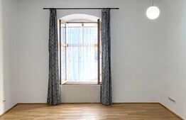 Apartament de vanzare, cu 1 camera, 40 mp, zona Unirii 