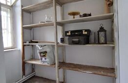 Casa istorica, 2 apartamnte, curte proprie- posibilitati multiple, zona Balcescu