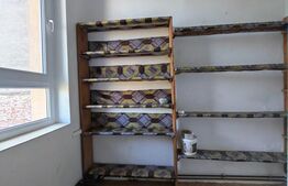 Casa istorica, 2 apartamnte, curte proprie- posibilitati multiple, zona Balcescu