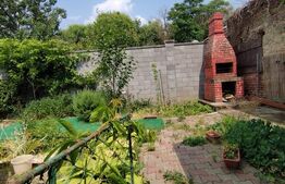 Casa istorica, 2 apartamnte, curte proprie- posibilitati multiple, zona Balcescu