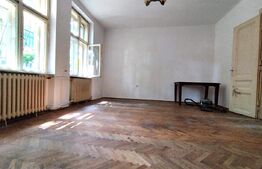 Casa istorica, 2 apartamnte, curte proprie- posibilitati multiple, zona Balcescu