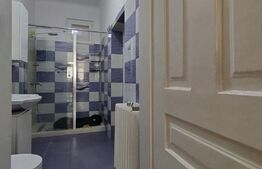 Casa istorica, 2 apartamnte, curte proprie- posibilitati multiple, zona Balcescu