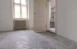 Casa istorica, 2 apartamnte, curte proprie- posibilitati multiple, zona Balcescu