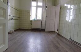 Casa istorica, 2 apartamnte, curte proprie- posibilitati multiple, zona Balcescu