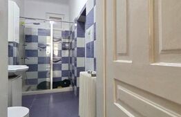 Casa istorica, 2 apartamnte, curte proprie- posibilitati multiple, zona Balcescu