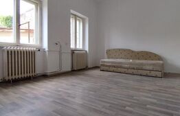 Casa istorica, 2 apartamnte, curte proprie- posibilitati multiple, zona Balcescu