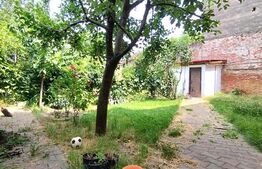 Casa istorica, 2 apartamnte, curte proprie- posibilitati multiple, zona Balcescu
