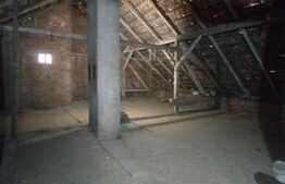 Casa istorica, 2 apartamnte, curte proprie- posibilitati multiple, zona Balcescu