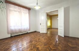 Casa istorica, 2 apartamnte, curte proprie- posibilitati multiple, zona Balcescu