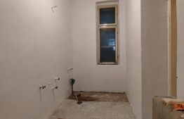 Casa istorica, 2 apartamnte, curte proprie- posibilitati multiple, zona Balcescu