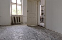 Casa istorica, 2 apartamnte, curte proprie- posibilitati multiple, zona Balcescu