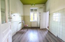 Casa istorica, 2 apartamnte, curte proprie- posibilitati multiple, zona Balcescu