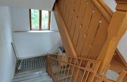 Casa istorica, 2 apartamnte, curte proprie- posibilitati multiple, zona Balcescu