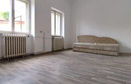 Casa istorica, 2 apartamnte, curte proprie- posibilitati multiple, zona Balcescu