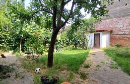 Casa istorica, 2 apartamnte, curte proprie- posibilitati multiple, zona Balcescu