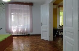 Casa istorica, 2 apartamnte, curte proprie- posibilitati multiple, zona Balcescu