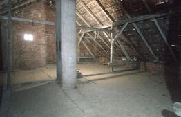 Casa istorica, 2 apartamnte, curte proprie- posibilitati multiple, zona Balcescu