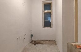 Casa istorica, 2 apartamnte, curte proprie- posibilitati multiple, zona Balcescu