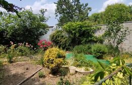 Casa istorica, 2 apartamnte, curte proprie- posibilitati multiple, zona Balcescu