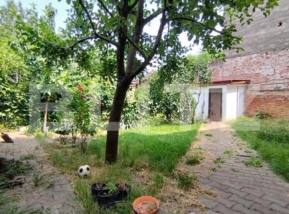 Casa de vânzare 6 camere Balcescu - 172627CV | BLITZ Timișoara | Poza20