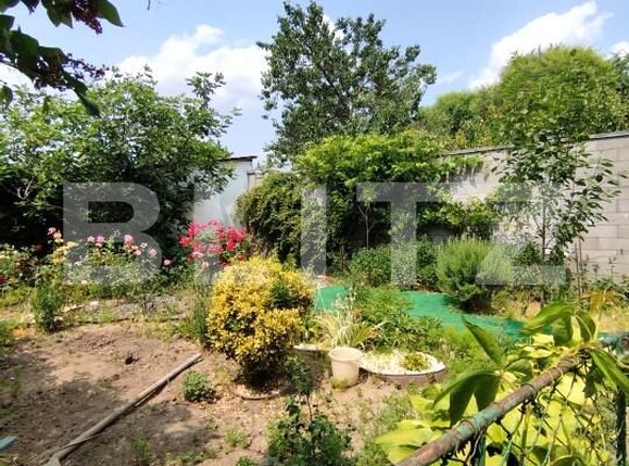 Casa de vânzare 6 camere Balcescu - 172627CV | BLITZ Timișoara | Poza23