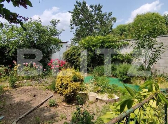 Casa de vânzare 6 camere Balcescu - 172627CV | BLITZ Timișoara | Poza19