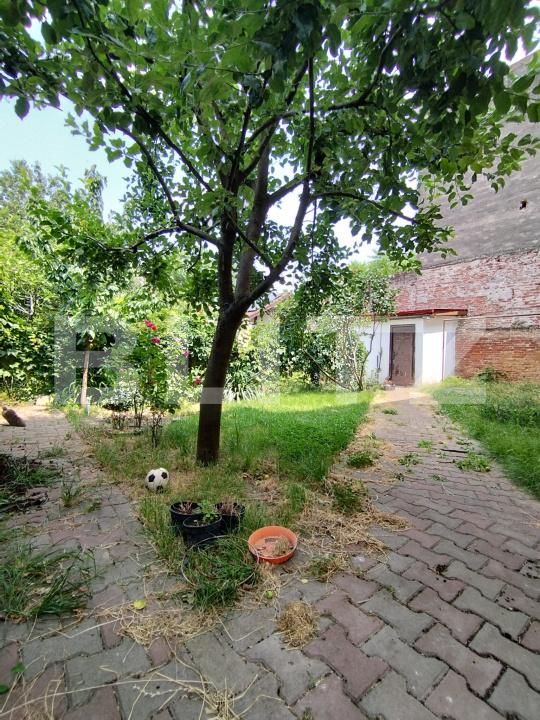 Casa de vânzare 6 camere Balcescu - 172627CV | BLITZ Timișoara | Poza20