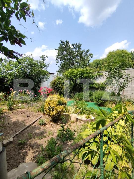 Casa de vânzare 6 camere Balcescu - 172627CV | BLITZ Timișoara | Poza23